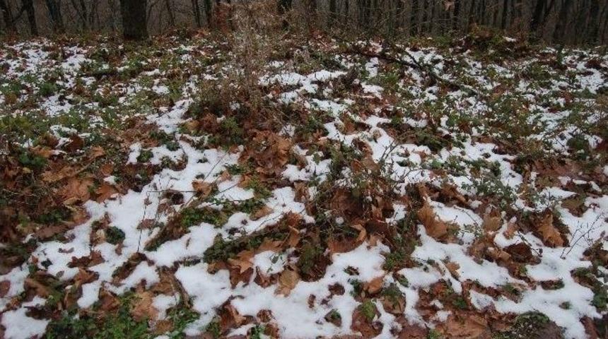 Lapseki İl&ccedil;esine İlk Kar D&uuml;şt&uuml;