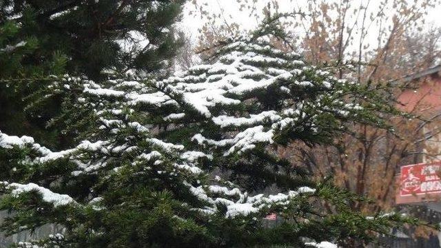 Tatvan&rsquo;da Kar Yağışı 1