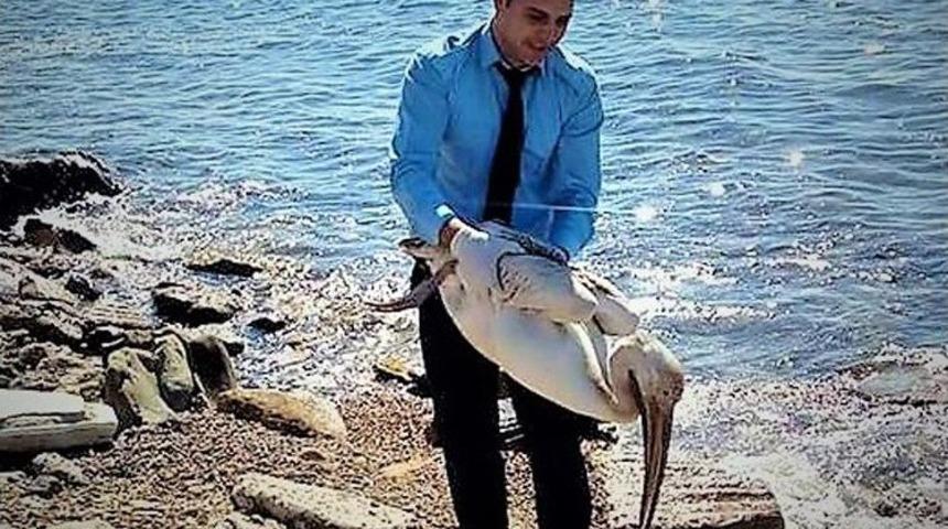 Yaralı Pelikanı Duyarlı Vatandaş Kurtardı