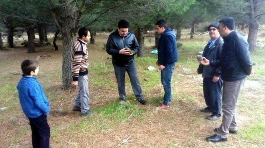 Havran&rsquo;ın Geleceği &lsquo;fıstık &Ccedil;amında&rsquo;