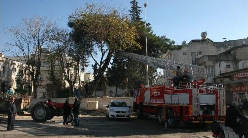Kilis Belediyesi Ağa&ccedil;ları Budamaya Başladı