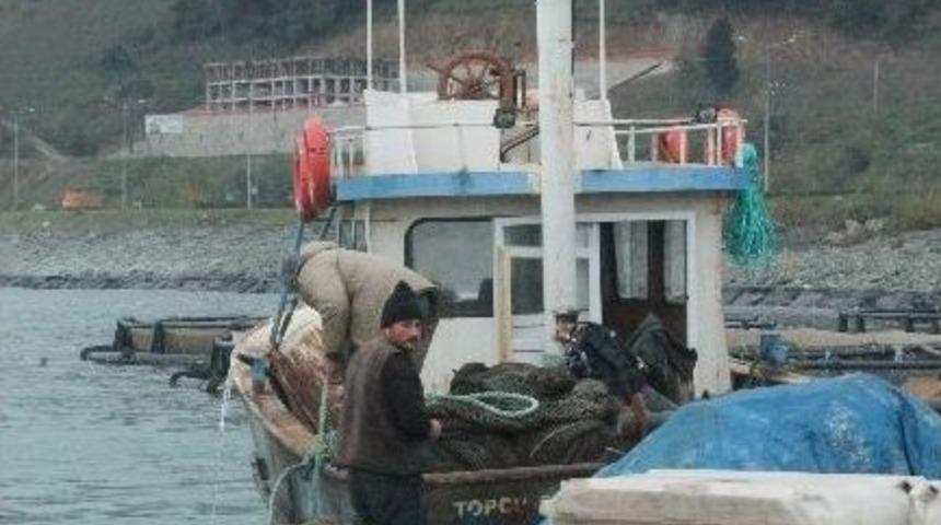 Hamsi K&uuml;lt&uuml;r Balık&ccedil;ılığını Vurdu