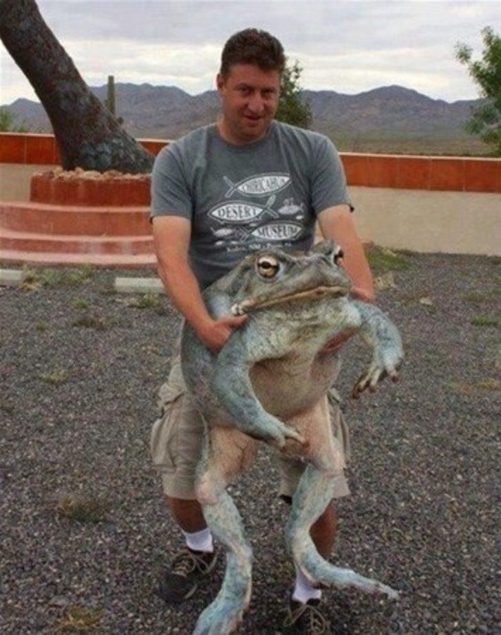 Photoshop sanan yanılıyor! Gördükleriniz karşısında şaşkına döneceksiniz G1