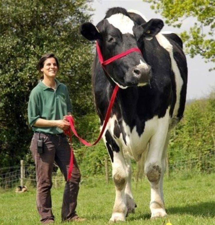 Photoshop sanan yanılıyor! Gördükleriniz karşısında şaşkına döneceksiniz G2