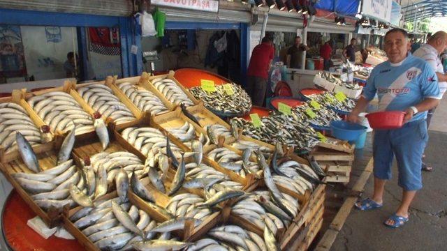 Marmara’da Palamut Bereketi