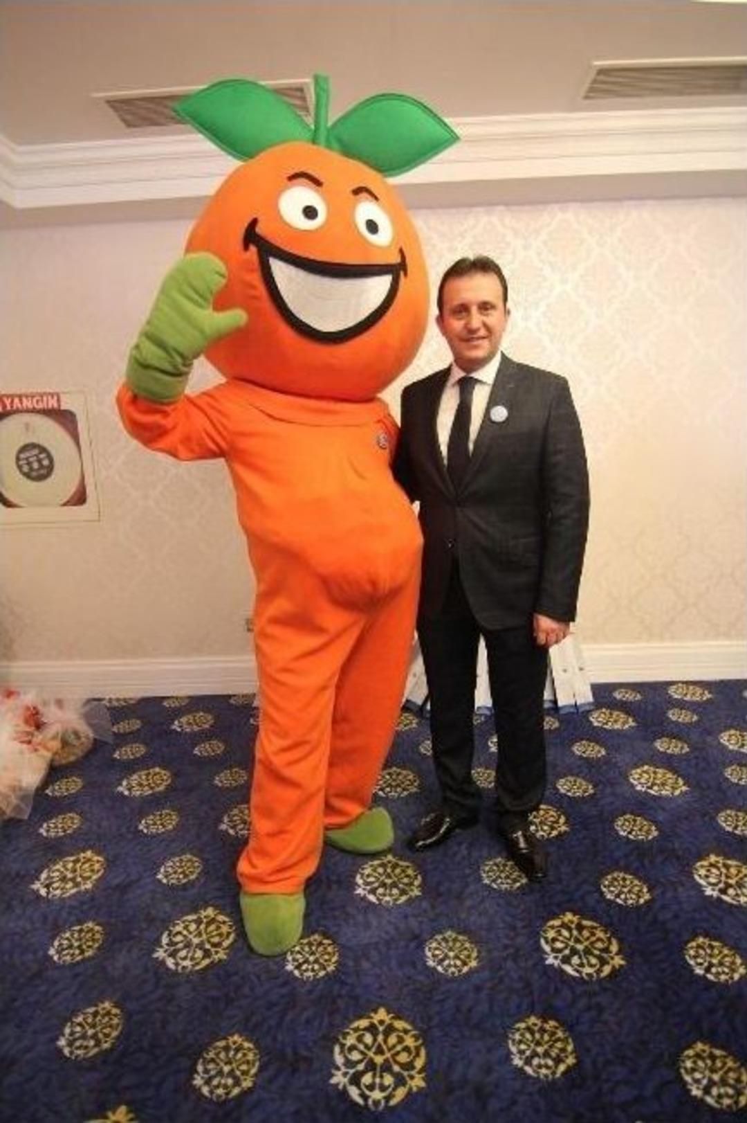 Menderes Mandalina Festivali İle Coşacak