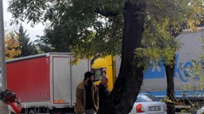 YALOVA'DA K&Ouml;PR&Uuml;L&Uuml; KAVŞAK İ&Ccedil;İN 158 AĞA&Ccedil; KESİLİYOR