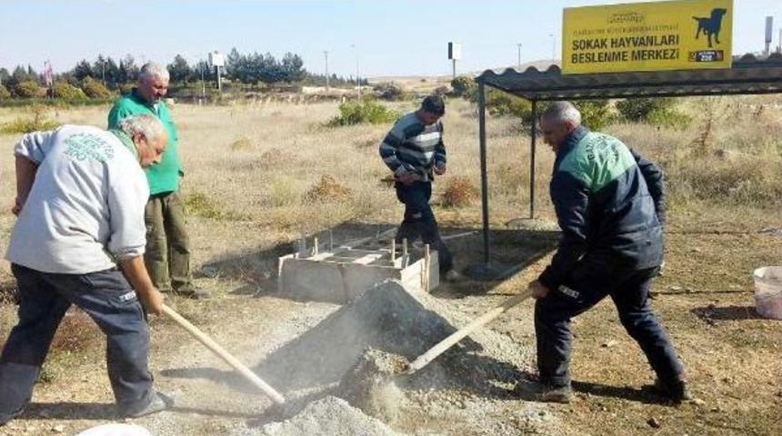 GAZİANTEP'TE SOKAK K&Ouml;PEKLERİNE BESLENME NOKTALARI