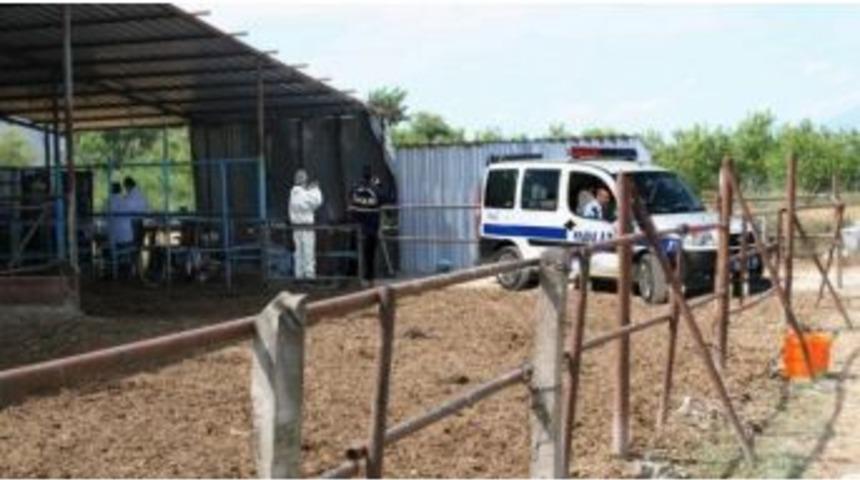 &Ccedil;alıştığı İş Yerindeki Evinde &Ouml;l&uuml; Bulundu