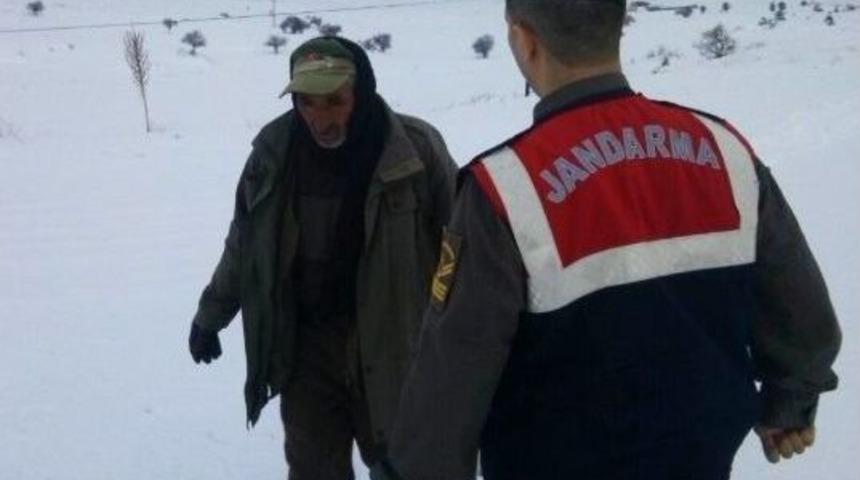 Dağda Mahsur Kalan Besiciyi Jandarma Kurtardı
