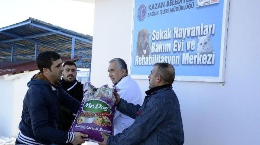 Kazan&rsquo;da Sokak Hayvanlarına Yiyecek Bırakıldı