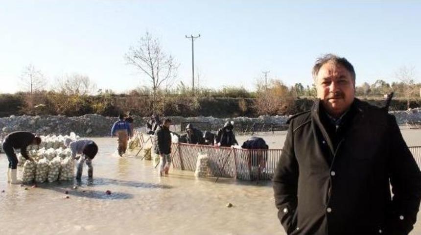 Yağmurdan Turp &Uuml;retimine 10 Milyon Liralık Zarar