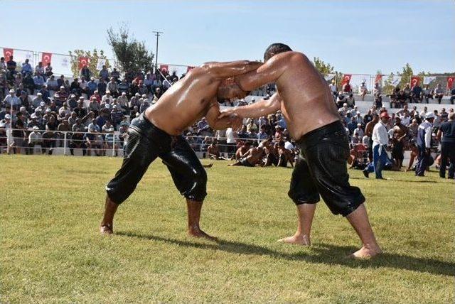 13. Edremit Yağlı Pehlivan G&uuml;reşleri Yapıldı 1