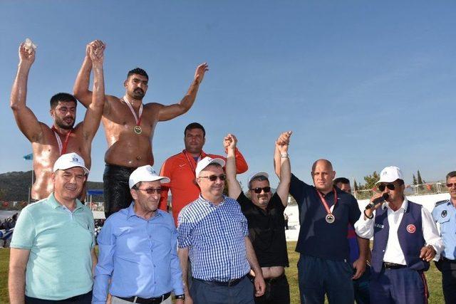 13. Edremit Yağlı Pehlivan G&uuml;reşleri Yapıldı 3