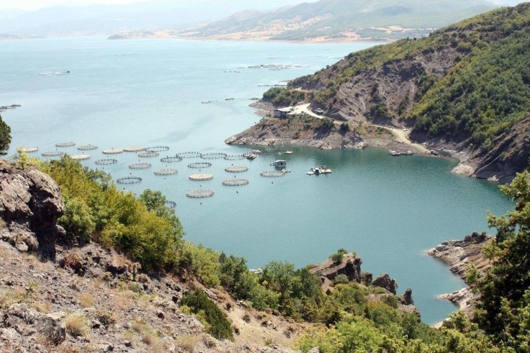 Tokat&rsquo;ta Yılda 5 Bin Ton Balık &Uuml;retiliyor