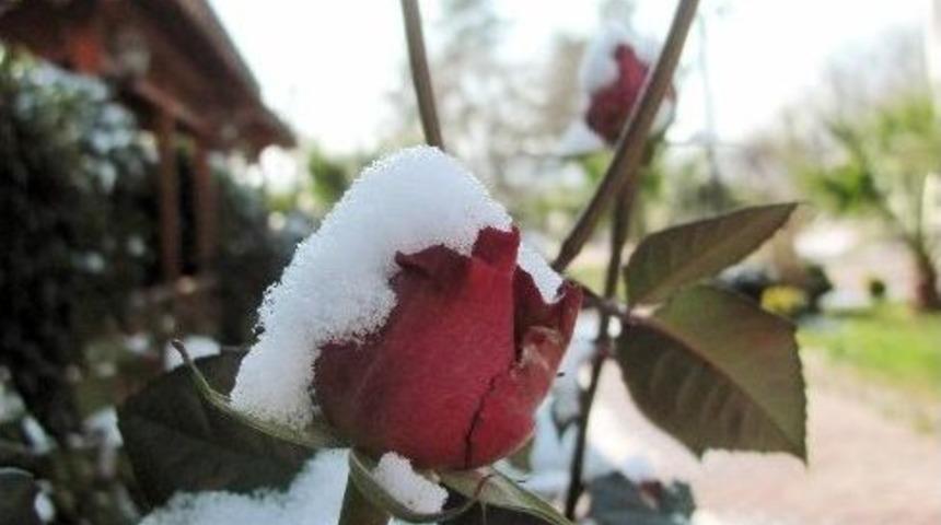 Araban&rsquo;a Kar Yağdı