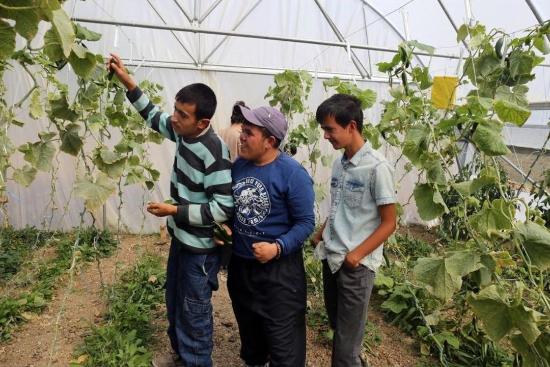 Engellilere Doğal Terapi