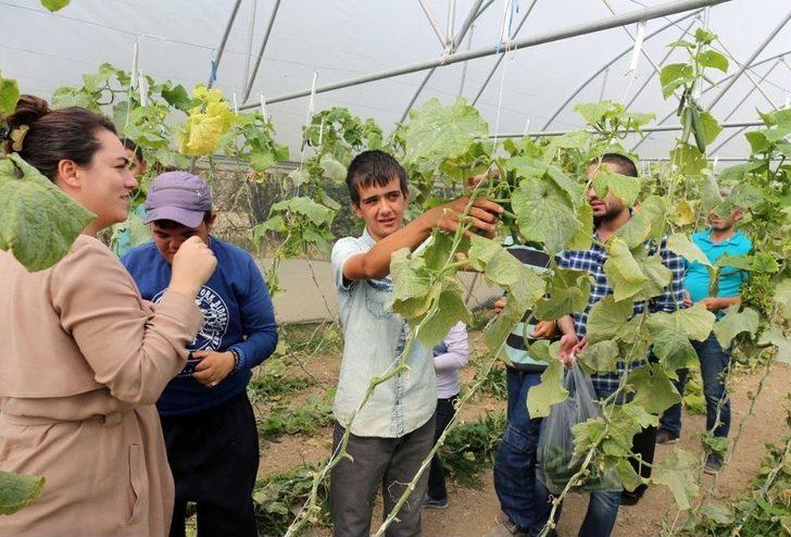 Engellilere Doğal Terapi G1