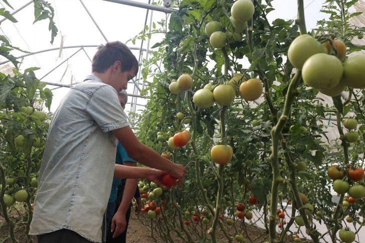 Engellilere Doğal Terapi G3