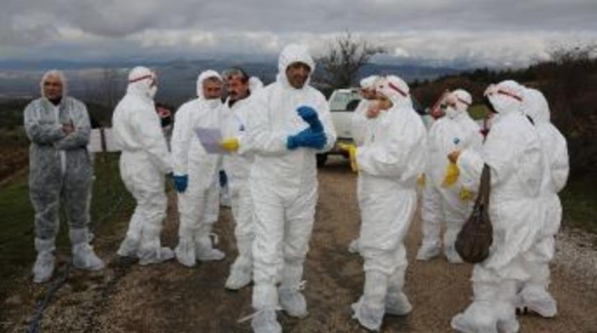 Bolu&rsquo;da Kuş Gribi Tatbikatı Yapıldı