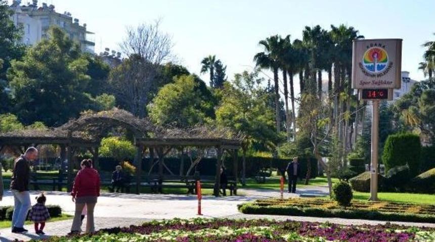 Heryerde Kar, Adana'da Bahar