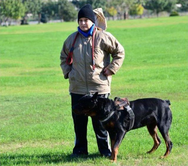 Heryerde Kar, Adana'da Bahar