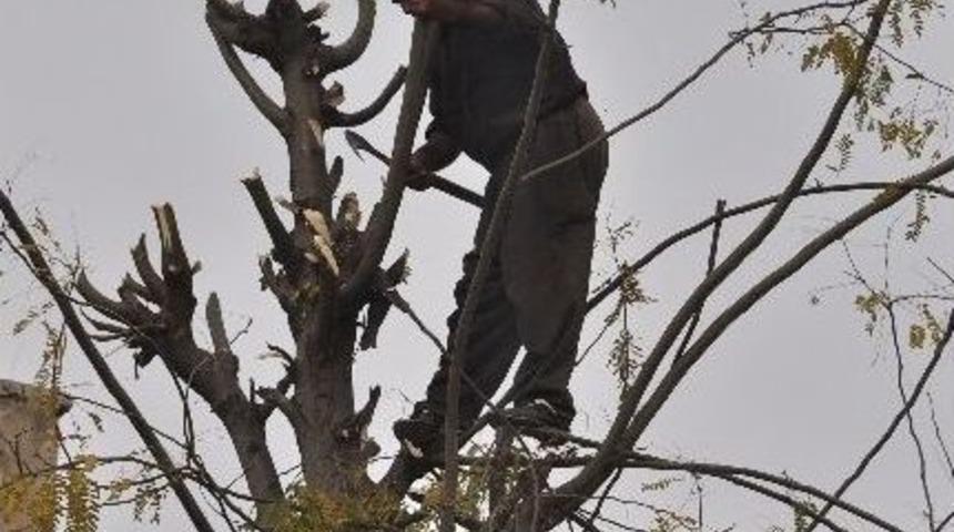 &Ouml;l&uuml;m&uuml;ne Ekmek Parası Kazanıyor