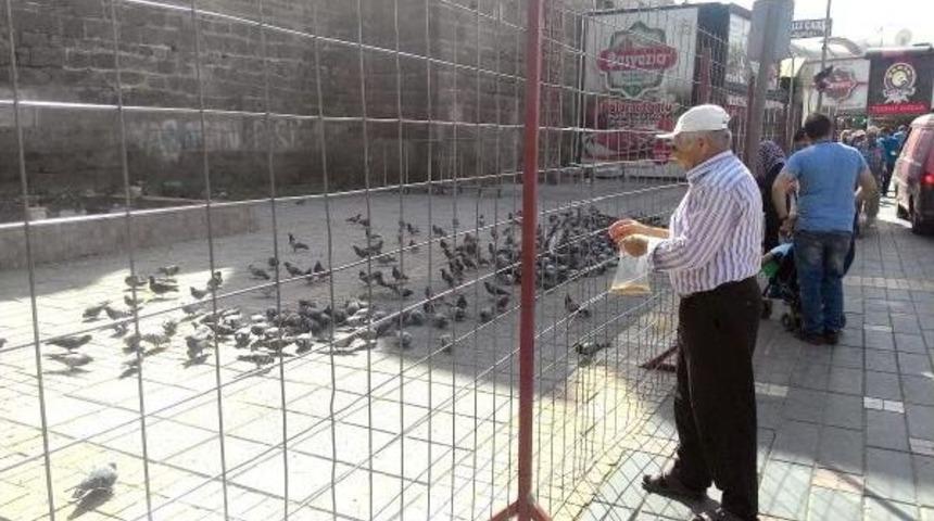 G&uuml;vercinleri Tel &Ouml;rg&uuml;lerin Arkasından Beslediler