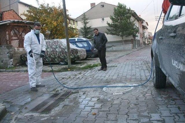 Boz&uuml;y&uuml;k&rsquo;te Larva M&uuml;cadelesi 2