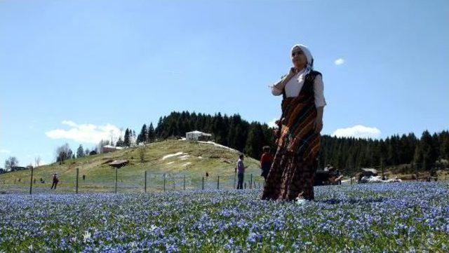 Trabzon’A, Yapay 3 Yeni Uzungöl