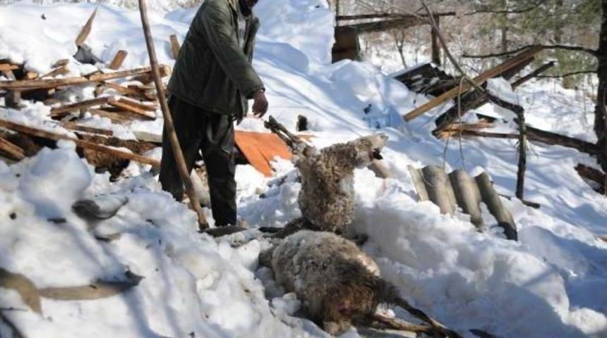 &Ccedil;alan Telefon Hayatını Kurtardı