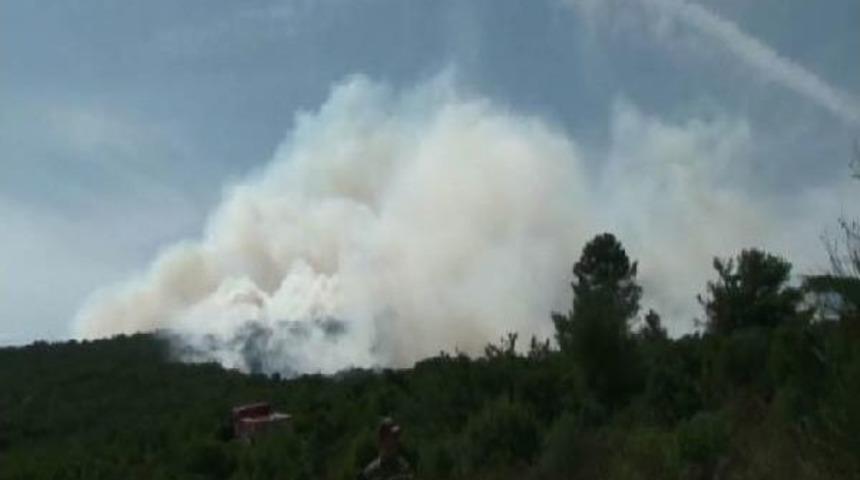 Sancaktepe'de Orman Yangını (2)