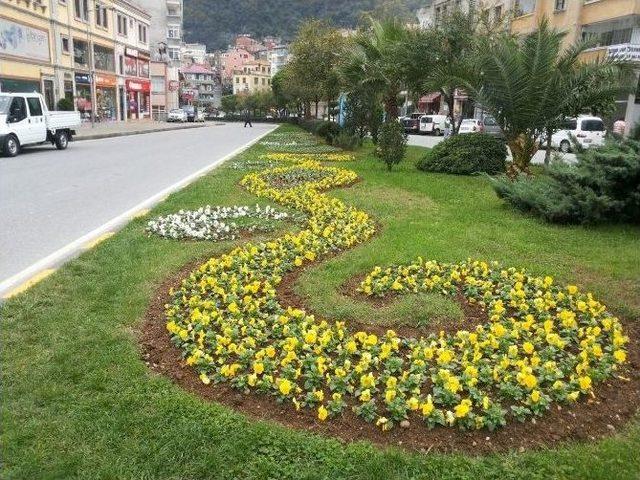 Trabzon’un Güzelleştirilmesi İçin 350 Bin Çiçek Dikilecek