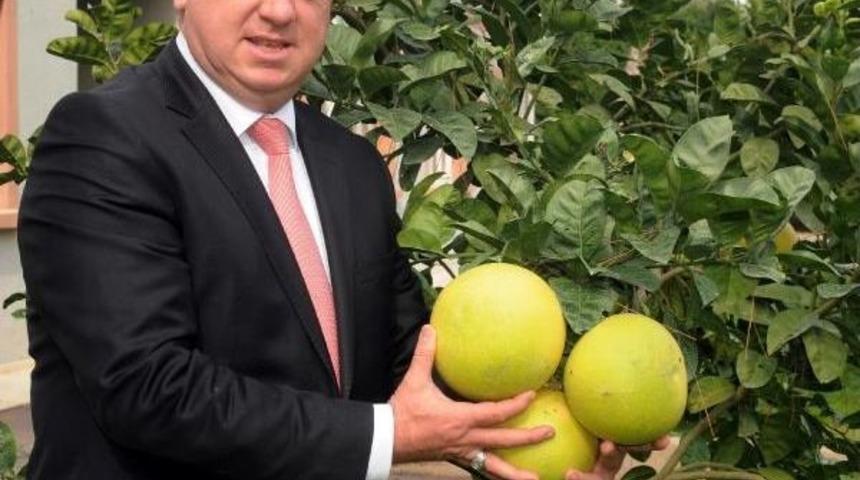 Turun&ccedil;gillerin en b&uuml;y&uuml;ğ&uuml; antalya'da