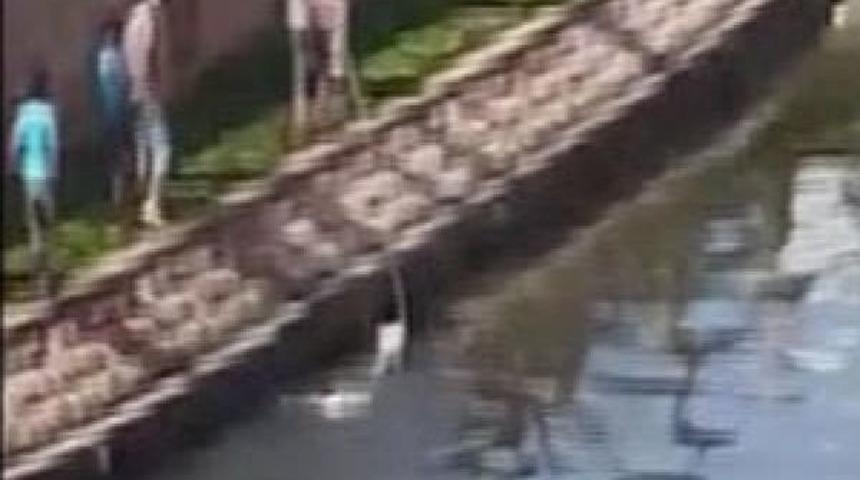 Porsuk Çayı'ndan Çıkamayan Atı Kurtardılar