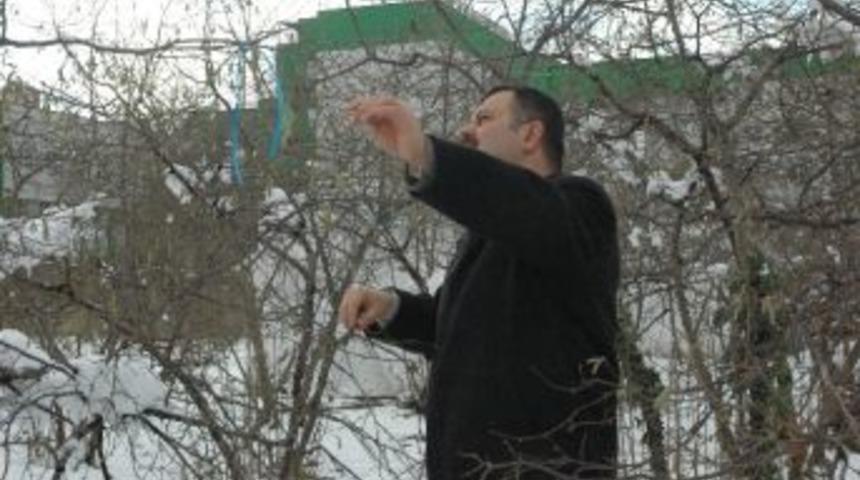 Kar Ve Hava Soğukları Fındığa Yaradı