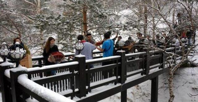 6 &uuml;lkenin gen&ccedil;leri m&uuml;zikle anlaşıyor 1