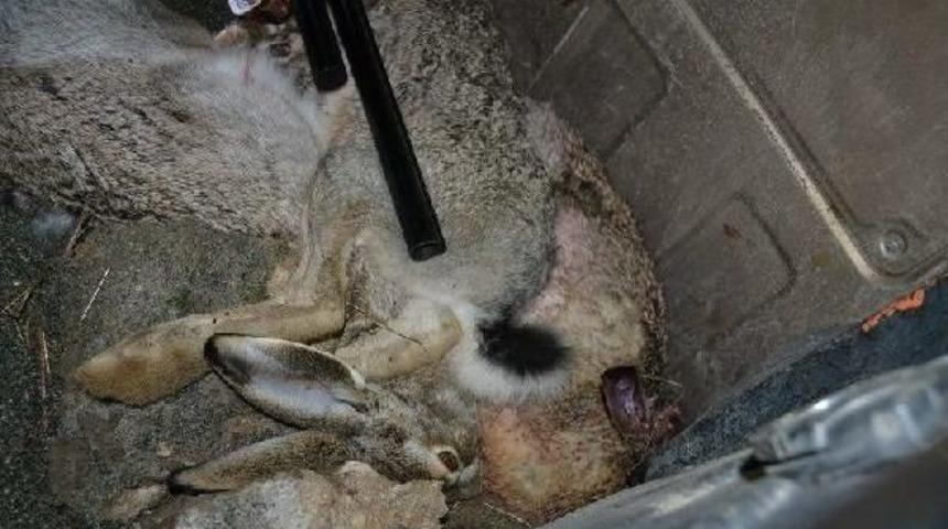 Ermenistan sınırında ka&ccedil;ak tavşan avcılarına ceza