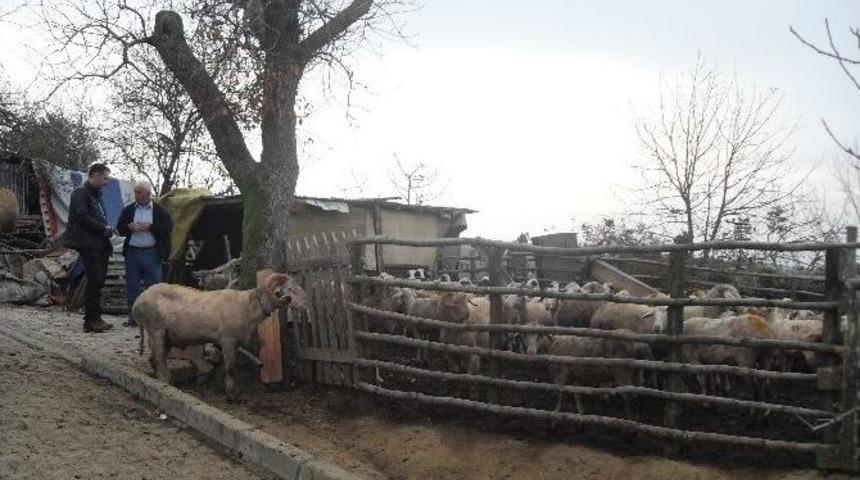 Köylüler Bilinçlendiriliyor