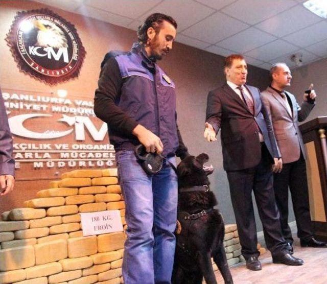 Şanlıurfa’Da 180 Kilo Eroin Ele Geçirildi