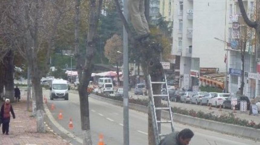 Bilecik Kışa Hazırlanıyor