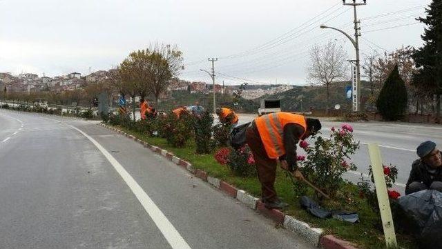 Bilecik Kışa Hazırlanıyor