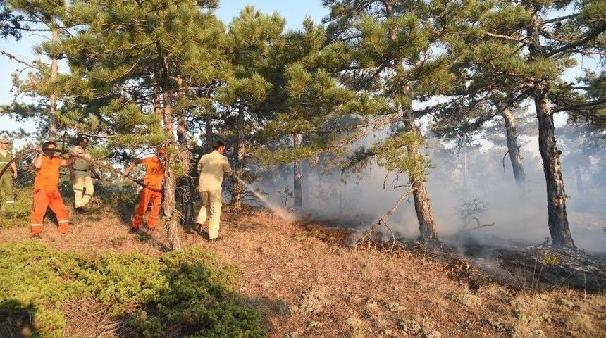 Eskişehir’de Orman Yangını