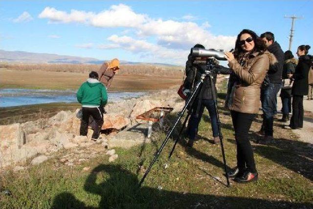 Amasya Biyoloji Kulübünden Kuşlara Yem