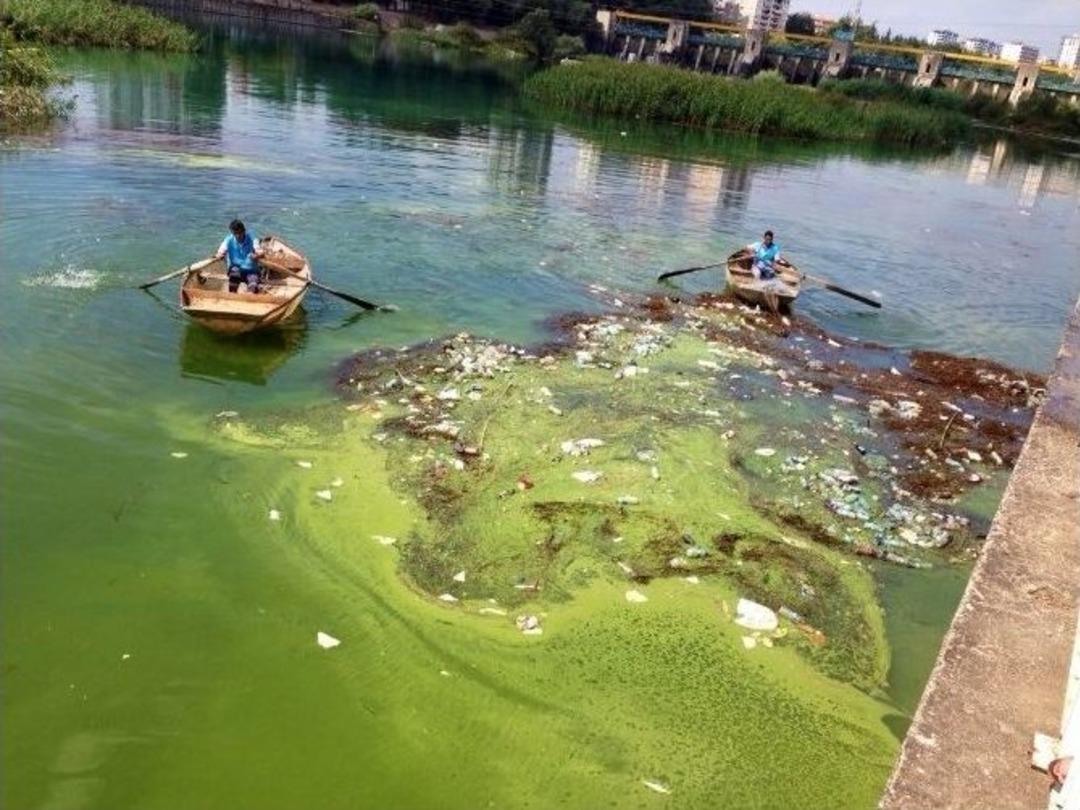 Seyhan Nehri&rsquo;ndeki Balık &Ouml;l&uuml;mleri &Ouml;nlenecek