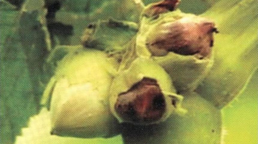 Ordu&rsquo;da 6 Bin 919 &Ccedil;ift&ccedil;inin Borcu Ertelendi