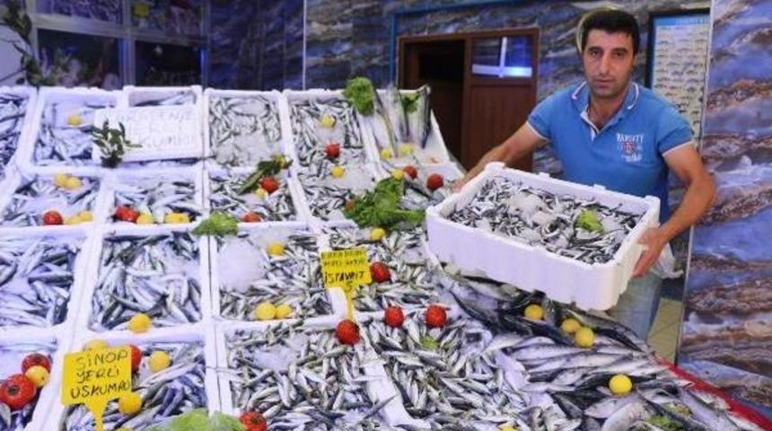 Karadeniz'de Sıcaklık, Balık&ccedil;ıları Vurdu