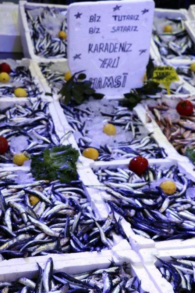Karadeniz'de Sıcaklık, Balıkçıları Vurdu