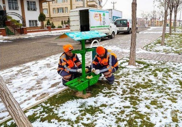 Şehitkamil’den Sokak Hayvanlarına Yardım Eli