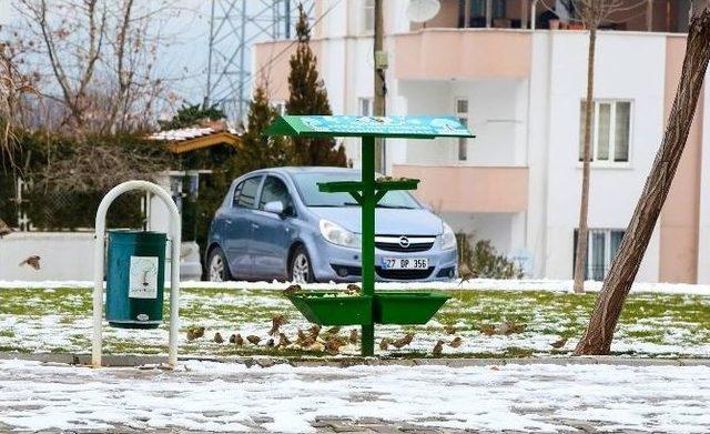 Şehitkamil’den Sokak Hayvanlarına Yardım Eli